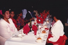 IMG_0021-2_800x537